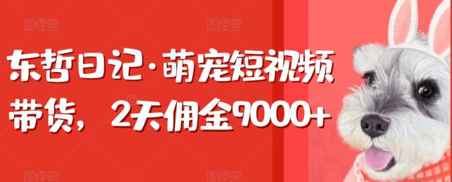 东哲日记·萌宠短视频带货，2天佣金9000+网赚项目-副业赚钱-互联网创业-资源整合南风学院
