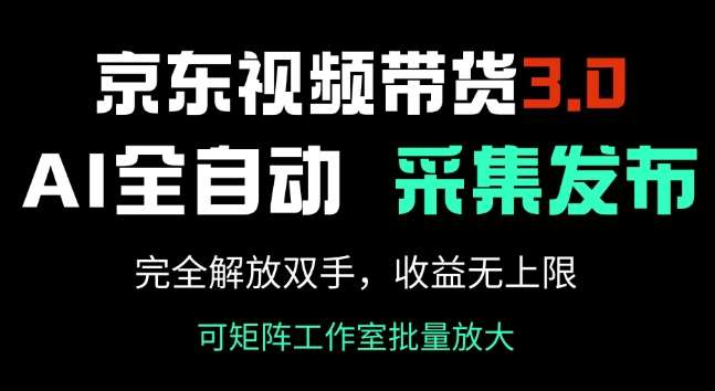 京东视频带货3.0，Ai全自动采集+自动发布，完全解放双手，收入无上限网赚项目-副业赚钱-互联网创业-资源整合南风学院