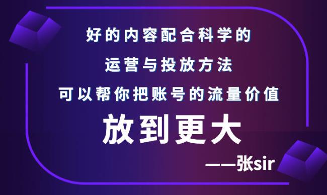 张sir账号流量增长课，告别海王流量，让你的流量更精准网赚项目-副业赚钱-互联网创业-资源整合南风学院