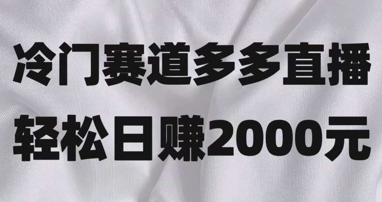 冷门赛道拼多多直播，简单念稿子，日收益2000＋【揭秘】网赚项目-副业赚钱-互联网创业-资源整合南风学院
