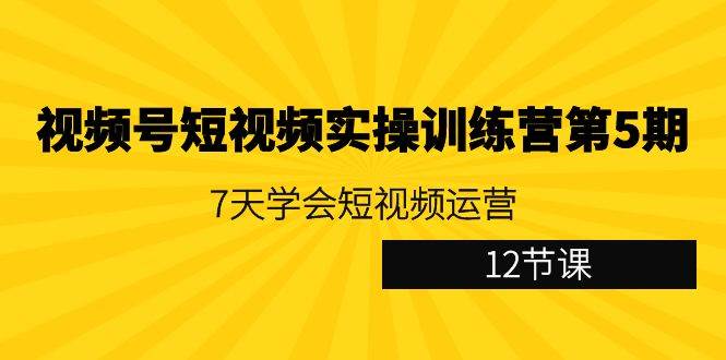 视频号短视频实操训练营第5期：7天学会短视频运营（12节课）网赚项目-副业赚钱-互联网创业-资源整合南风学院