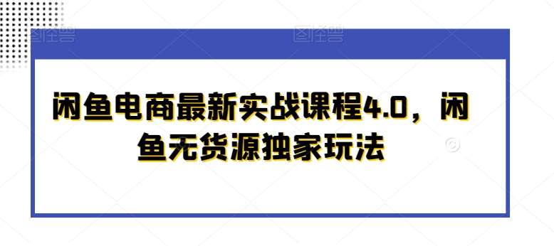 闲鱼电商最新实战课程4.0，闲鱼无货源独家玩法网赚项目-副业赚钱-互联网创业-资源整合南风学院