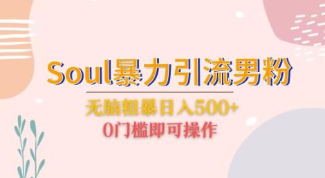 Soul暴力引流男粉玩法,无脑粗暴日入500+,0门槛即可操作【揭秘】网赚项目-副业赚钱-互联网创业-资源整合南风学院