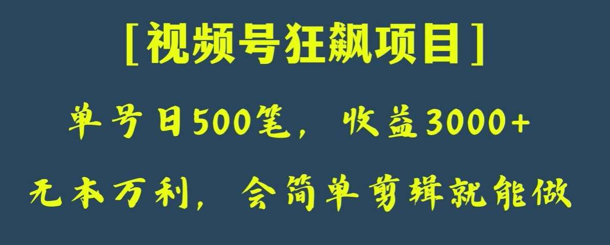 日收款500笔，纯利润3000+，视频号狂飙项目，会简单剪辑就能做【揭秘】网赚项目-副业赚钱-互联网创业-资源整合南风学院