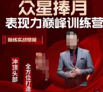 众星捧月表现力巅峰训练营，全方位打造，陪练实战赋能网赚项目-副业赚钱-互联网创业-资源整合南风学院
