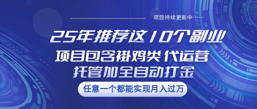 25年推荐这10个副业 项目包含褂鸡类、代运营托管类、全自动打金类网赚项目-副业赚钱-互联网创业-资源整合南风学院