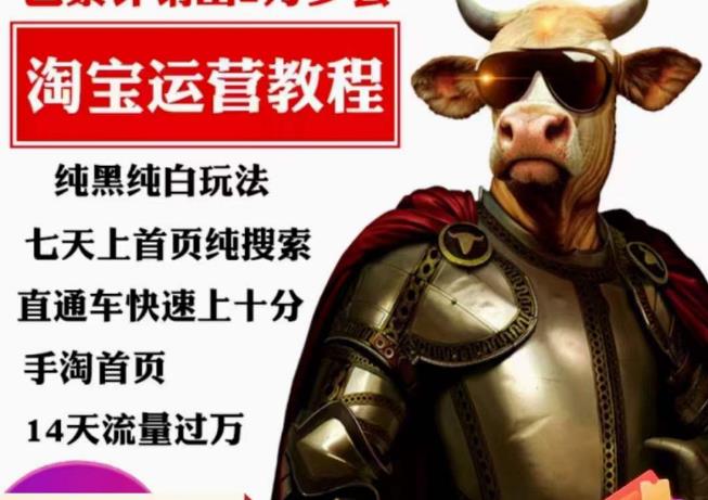 猫老师·淘系算法逆向解密，​纯黑纯白玩法，七天上首页纯搜索，手淘首页14天流量过万网赚项目-副业赚钱-互联网创业-资源整合南风学院
