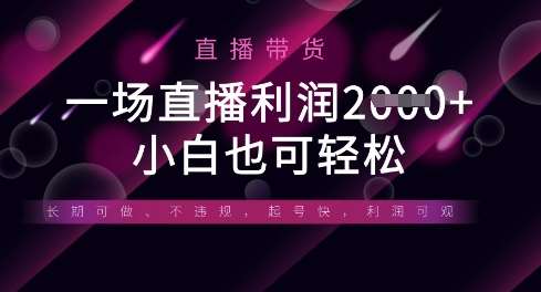半无人直播带货，一场利润数张，适合所有平台玩法，小白也可轻松网赚项目-副业赚钱-互联网创业-资源整合南风学院