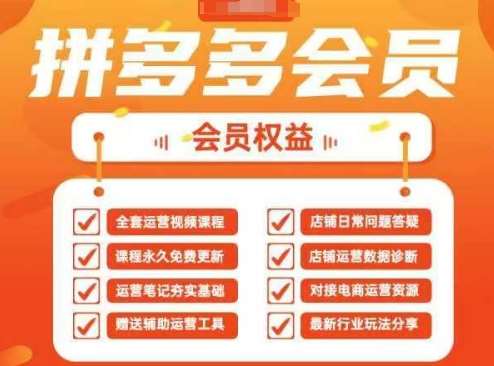 2025拼多多运营实战课，40节全流程教学，覆盖拼多多运营全链路网赚项目-副业赚钱-互联网创业-资源整合南风学院