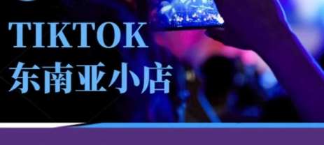 Tiktok东南亚跨境小店运营班，一门专业的TK小店运营培训课网赚项目-副业赚钱-互联网创业-资源整合南风学院