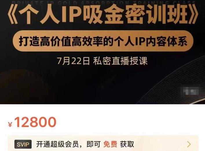 个人IP吸金密训班，打造高价值高效率的个人IP内容体系（价值12800元）网赚项目-副业赚钱-互联网创业-资源整合南风学院