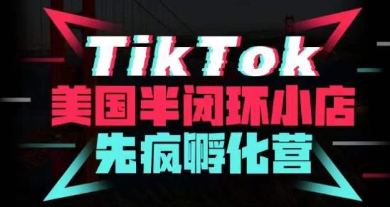疯人院·TikTok美国半闭环小店孵化营，抢占TikTok美国蓝海市场，开店、运营、带货、投流全实操网赚项目-副业赚钱-互联网创业-资源整合南风学院