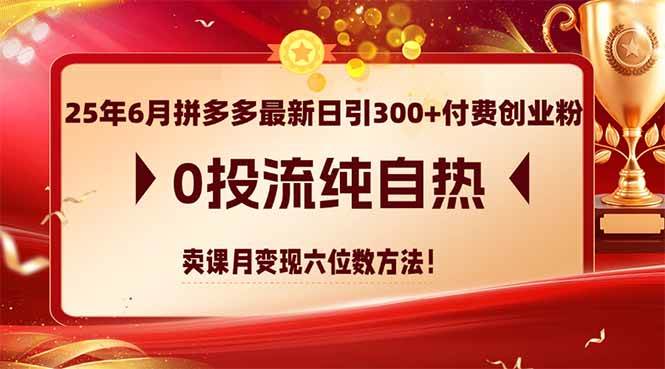 （14989期）25年6月拼多多最新日引300+付费创业粉，0投流纯自热 卖课月变现六位数方法网赚项目-副业赚钱-互联网创业-资源整合南风学院