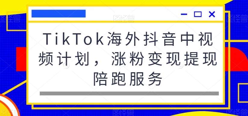 TikTok海外抖音中视频计划，涨粉变现提现陪跑服务网赚项目-副业赚钱-互联网创业-资源整合南风学院