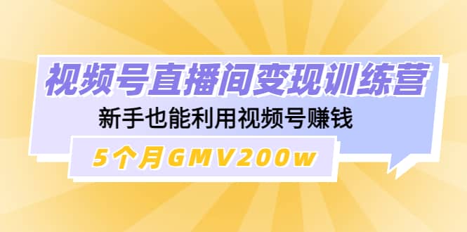 视频号直播间变现训练营网赚项目-副业赚钱-互联网创业-资源整合南风学院