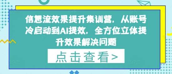 信息流效果提升集训营，从账号冷启动到AI提效，全方位立体提升效果解决问题网赚项目-副业赚钱-互联网创业-资源整合南风学院