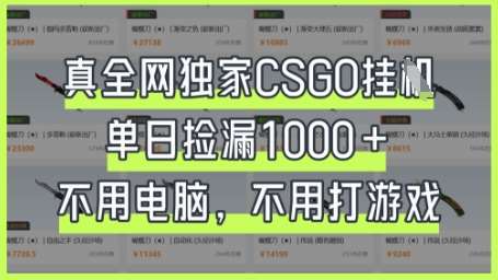 真全网独家CSGO挂G，单日捡漏1k+【揭秘】网赚项目-副业赚钱-互联网创业-资源整合南风学院