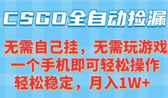CSGO自动捡漏项目，最新独家玩法，一个手机可操作，新手小白轻松月入1W+，操作简单易上手【揭秘】网赚项目-副业赚钱-互联网创业-资源整合南风学院
