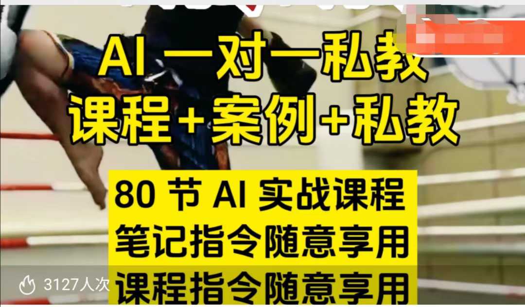 AI指令实战课，课程+案例，80节AI实战课程，笔记指令随意享用，课程指令随意享用（更新7月）网赚项目-副业赚钱-互联网创业-资源整合南风学院