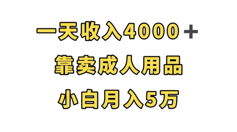 一天收入4000+，靠卖成人用品，小白轻松月入5万【揭秘】网赚项目-副业赚钱-互联网创业-资源整合南风学院