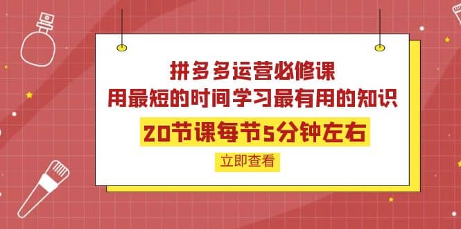 拼多多运营必修课：20节课每节5分钟左右，用最短的时间学习最有用的知识网赚项目-副业赚钱-互联网创业-资源整合南风学院