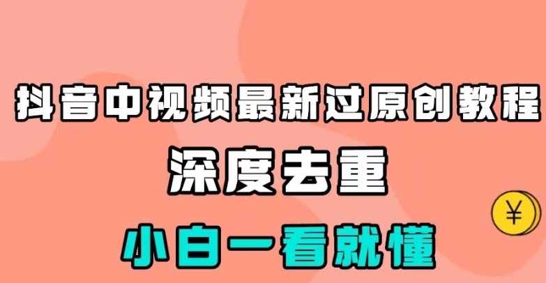 抖音中视频最新过原创教程，深度去重，小白一看就懂【揭秘】网赚项目-副业赚钱-互联网创业-资源整合南风学院