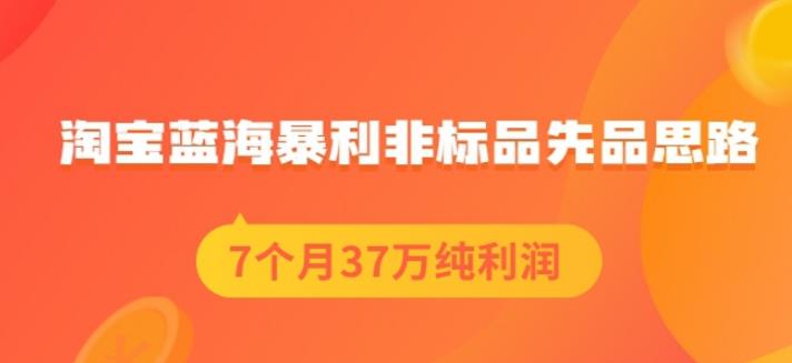 盗坤淘宝蓝海暴利非标品先品思路，7个月37万纯利润，压箱干货分享！【付费文章】网赚项目-副业赚钱-互联网创业-资源整合南风学院