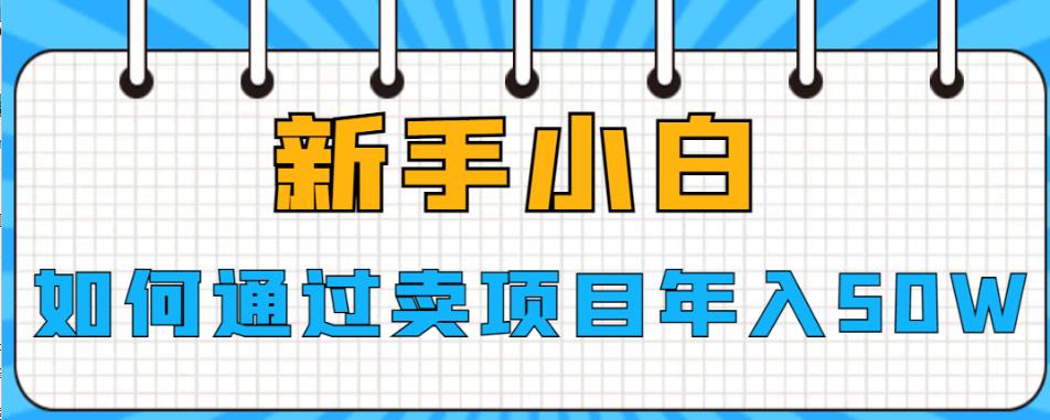 新手小白如何通过卖项目年入50W【揭秘】网赚项目-副业赚钱-互联网创业-资源整合南风学院