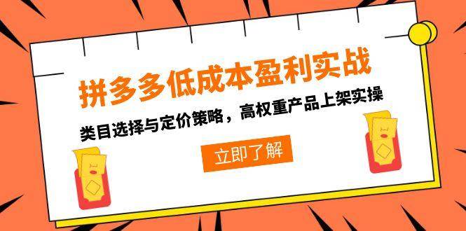 （15143期）拼多多低成本盈利实战，类目选择与定价策略，高权重产品上架实操网赚项目-副业赚钱-互联网创业-资源整合南风学院