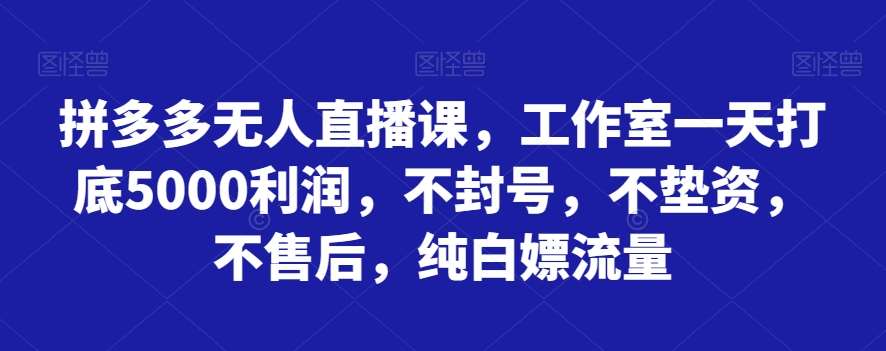 拼多多无人直播课，工作室一天打底5000利润，不封号，不垫资，不售后，纯白嫖流量网赚项目-副业赚钱-互联网创业-资源整合南风学院