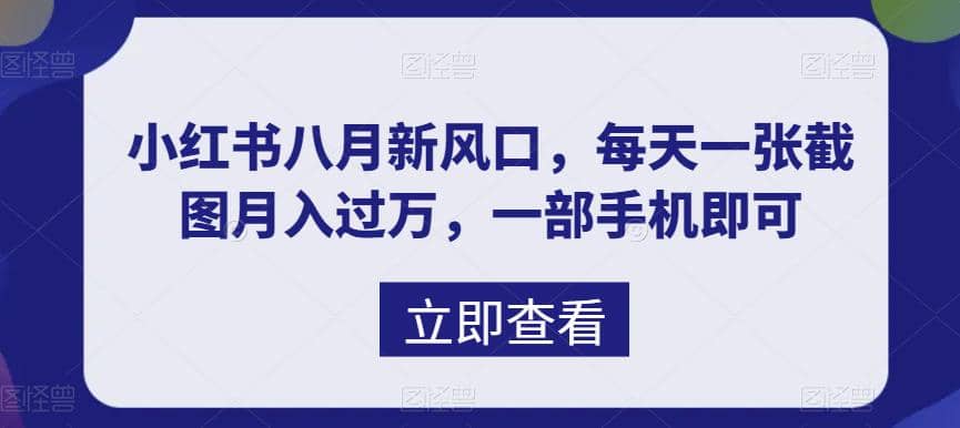 八月新风口，小红书虚拟项目一天收入1000+，实战揭秘网赚项目-副业赚钱-互联网创业-资源整合南风学院