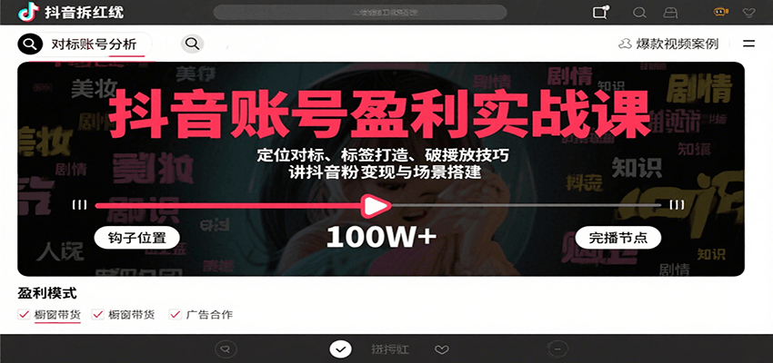 抖音账号盈利实战课，定位对标、标签打造、破播放技巧，讲涨粉变现与场景搭建网赚项目-副业赚钱-互联网创业-资源整合南风学院