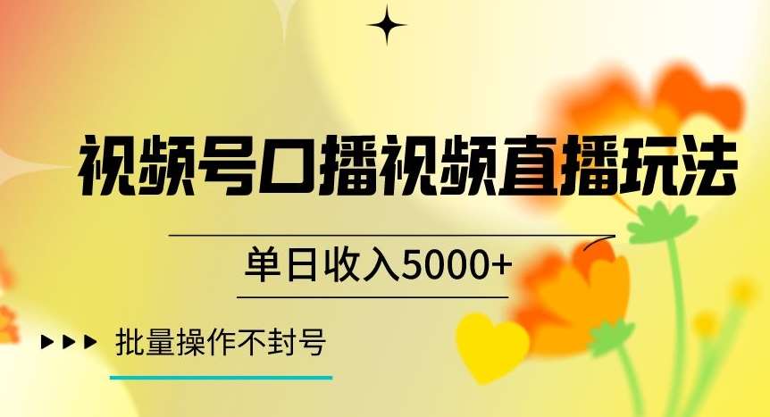 视频号囗播视频直播玩法，单日收入5000+，批量操作不封号【揭秘】网赚项目-副业赚钱-互联网创业-资源整合南风学院