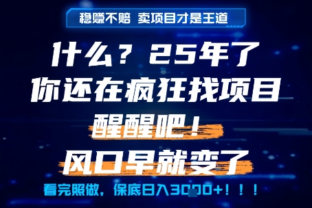 什么？25年你还在疯狂找项目做，醒醒吧，看完这些你全都懂了！【揭秘】网赚项目-副业赚钱-互联网创业-资源整合南风学院