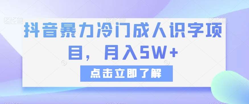 抖音暴力冷门成人识字项目，月入5W+【揭秘】网赚项目-副业赚钱-互联网创业-资源整合南风学院