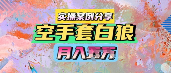 空手套白狼，月入过1W，实操案例分享网赚项目-副业赚钱-互联网创业-资源整合南风学院