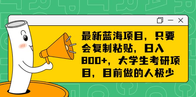 最新蓝海项目，只要会复制粘贴，日入800+，大学生考研项目，目前做的人极少网赚项目-副业赚钱-互联网创业-资源整合南风学院