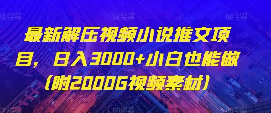 最新解压视频小说推文项目,日入3000+小白也能做(附2000G视频素材)【揭秘】网赚项目-副业赚钱-互联网创业-资源整合南风学院