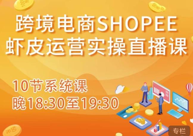 跨境电商Shopee虾皮运营实操直播课，从零开始学，入门到精通（10节系统课）网赚项目-副业赚钱-互联网创业-资源整合南风学院