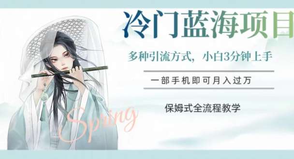 冷门蓝海项目，操作简单，小白3分钟上手，多种引流方式，保姆式全流程教学【揭秘】网赚项目-副业赚钱-互联网创业-资源整合南风学院