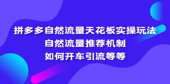 拼多多自然流量天花板实操玩法：自然流量推荐机制，如何开车引流等等网赚项目-副业赚钱-互联网创业-资源整合南风学院
