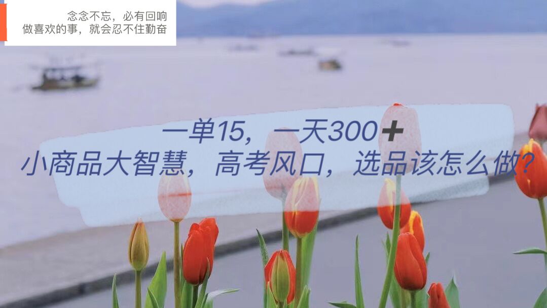 一单15，一天300+，小商品大智慧，高考风口，选品该怎么布局网赚项目-副业赚钱-互联网创业-资源整合南风学院