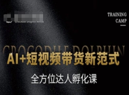 AI+短视频带货新范式，全方位达人孵化课网赚项目-副业赚钱-互联网创业-资源整合南风学院