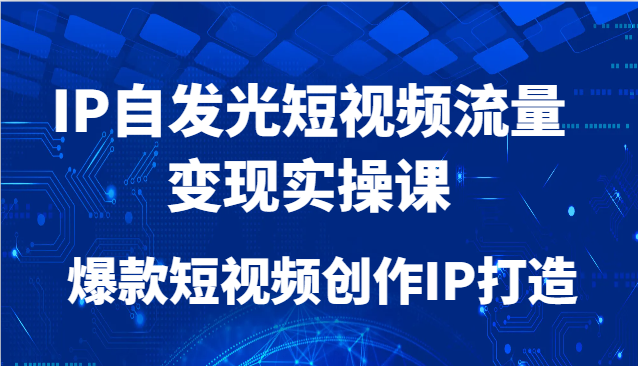 IP自发光短视频流量变现实操课，爆款短视频创作IP打造网赚项目-副业赚钱-互联网创业-资源整合南风学院
