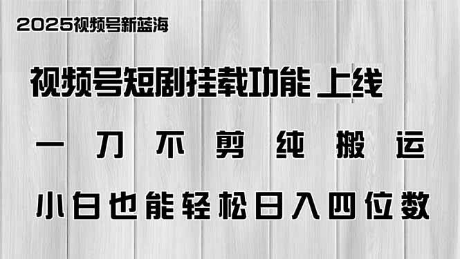 (14310期)视频号短剧挂载功能上线,一刀不剪纯搬运,小白也能轻松日入四位数网赚项目-副业赚钱-互联网创业-资源整合南风学院