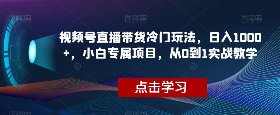 视频号直播带货冷门玩法,日入1000+,小白专属项目,从0到1实战教学【揭秘】网赚项目-副业赚钱-互联网创业-资源整合南风学院