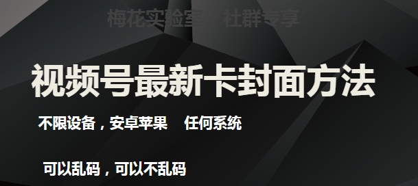 最新视频号直播卖惨乞讨玩法，流量嘎嘎滴，轻松日入300+网赚项目-副业赚钱-互联网创业-资源整合南风学院