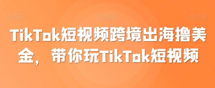 TikTok短视频跨境出海撸美金，带你玩TikTok短视频网赚项目-副业赚钱-互联网创业-资源整合南风学院