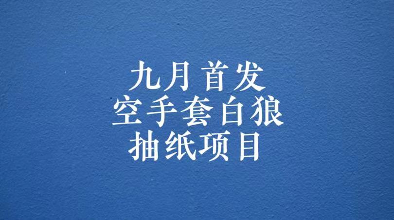 0成本，日入100-500空手套白狼抽纸项目，保姆级教学网赚项目-副业赚钱-互联网创业-资源整合南风学院