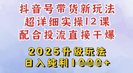 2025全新升级抖音带货玩法，一天纯利四位数，从剪辑到选品再到发布投流，超详细玩法揭秘网赚项目-副业赚钱-互联网创业-资源整合南风学院
